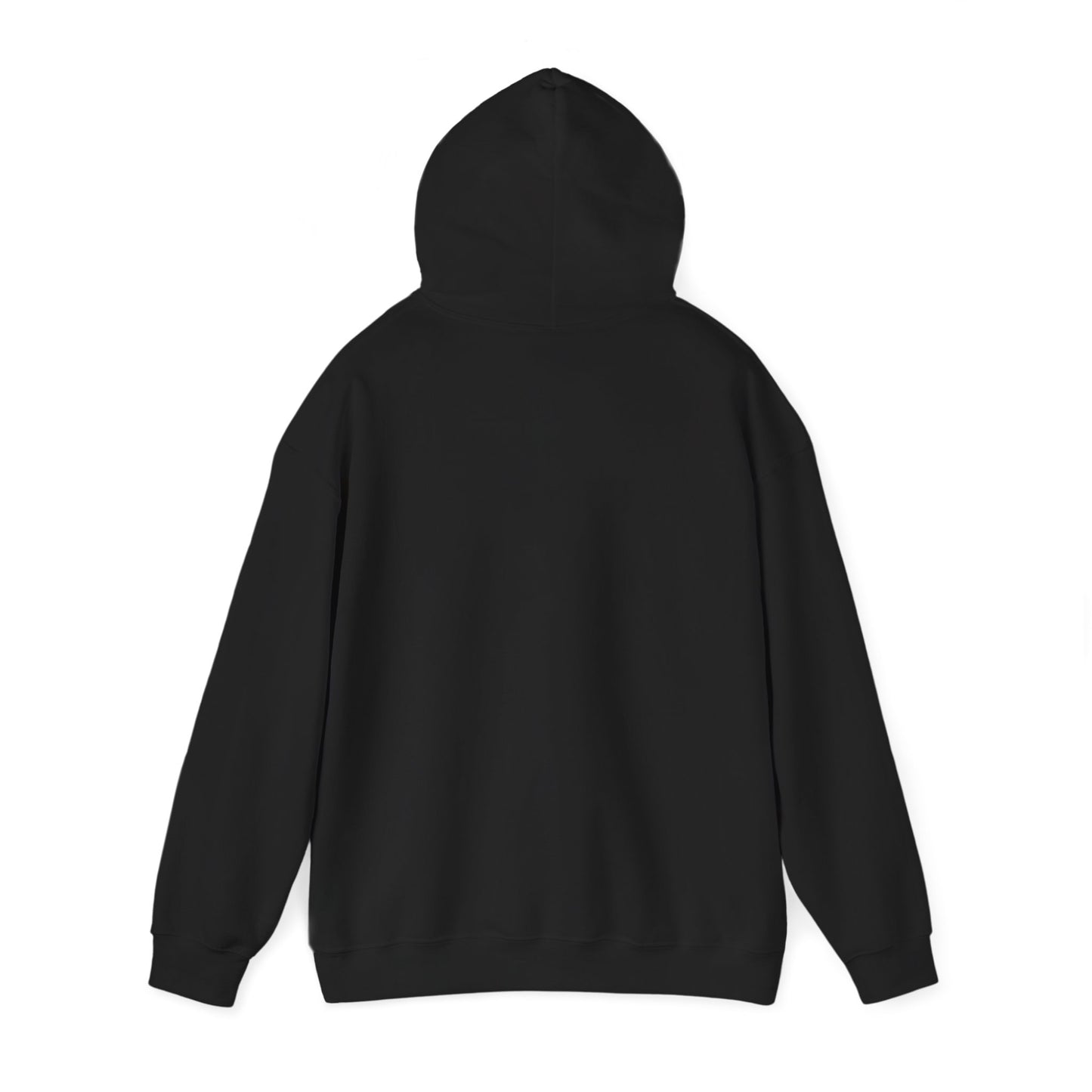 BIG ARIES ENERGY Hoodie