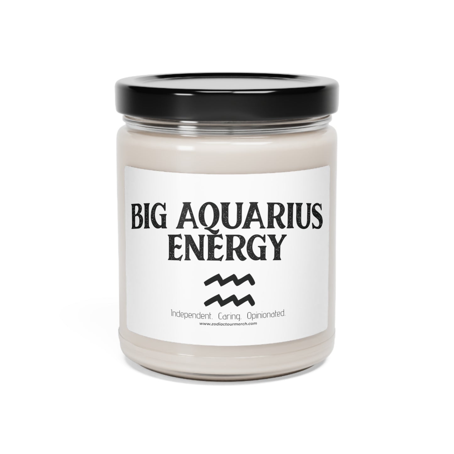 Big Aquarius Energy Scented Soy Candle, 9oz