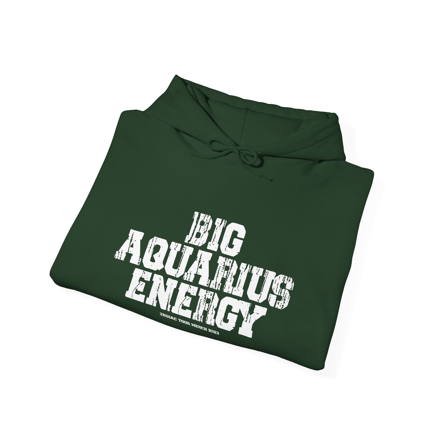 BIG AQUARIUS ENERGY Hoodie