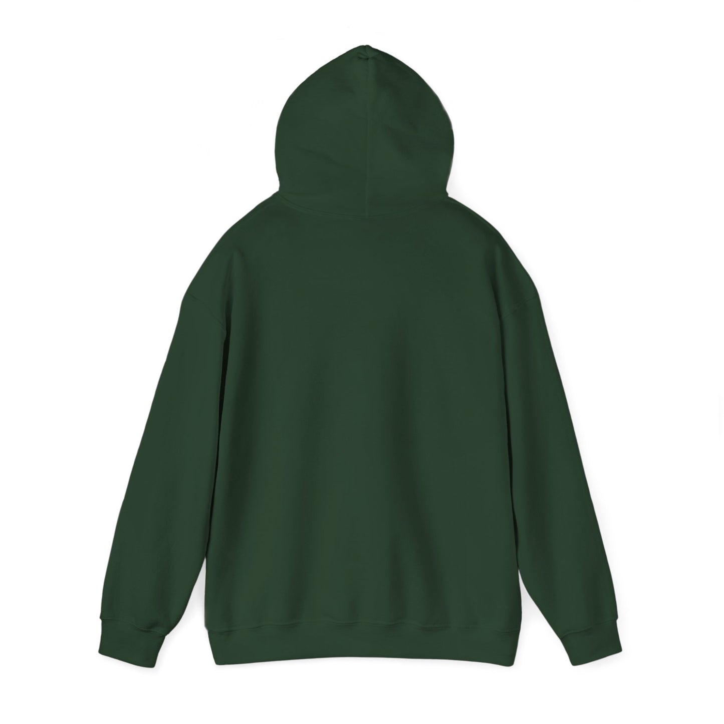 BIG ARIES ENERGY Hoodie