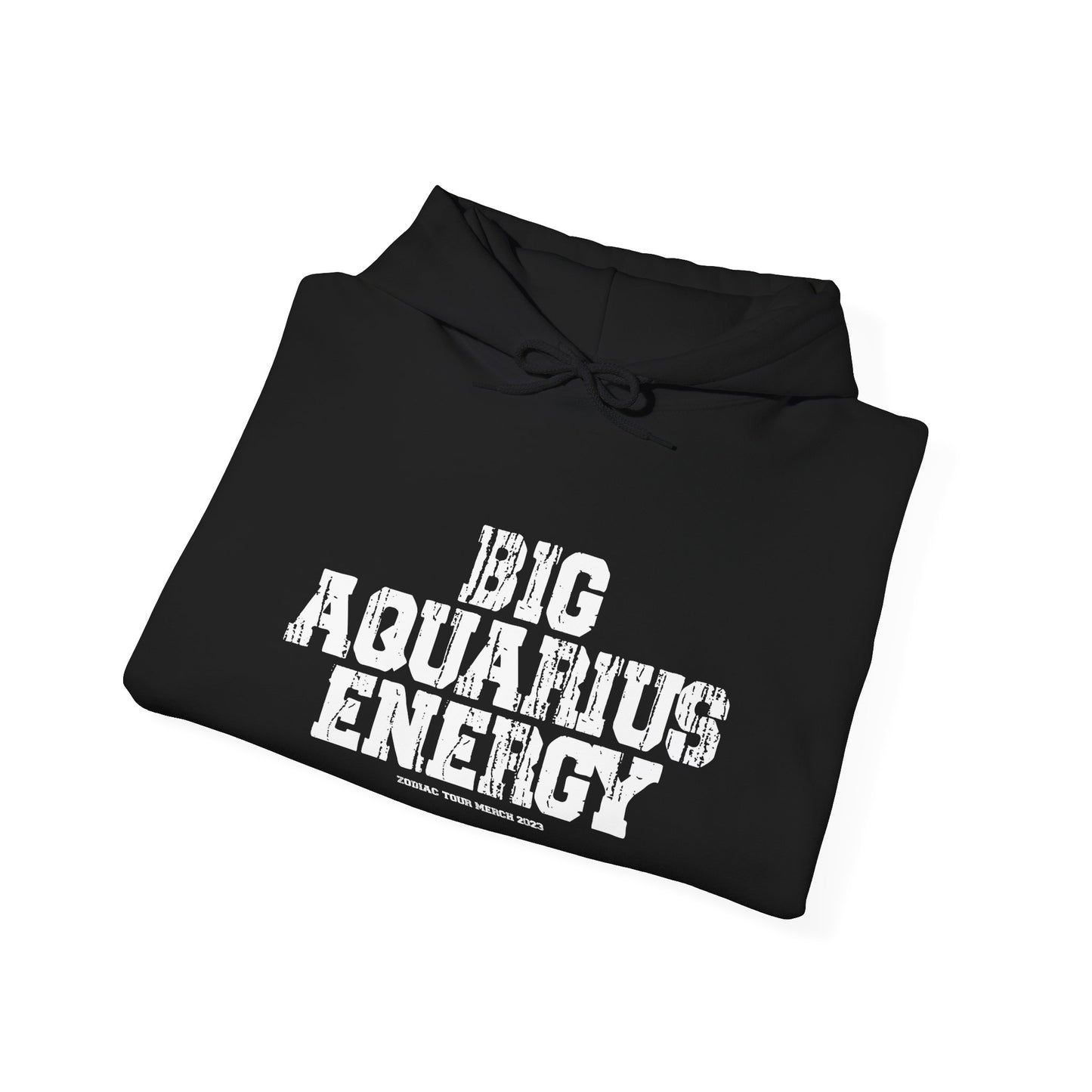 BIG AQUARIUS ENERGY Hoodie
