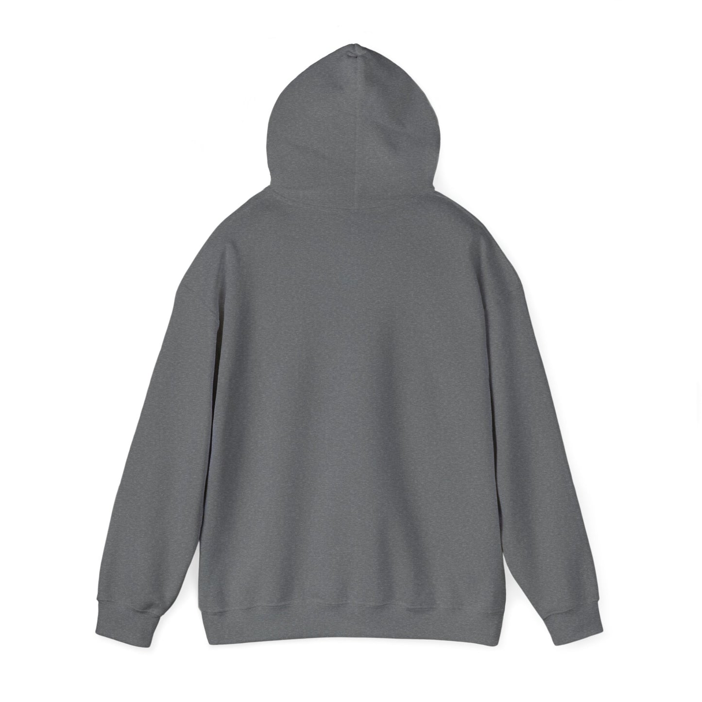 BIG ARIES ENERGY Hoodie