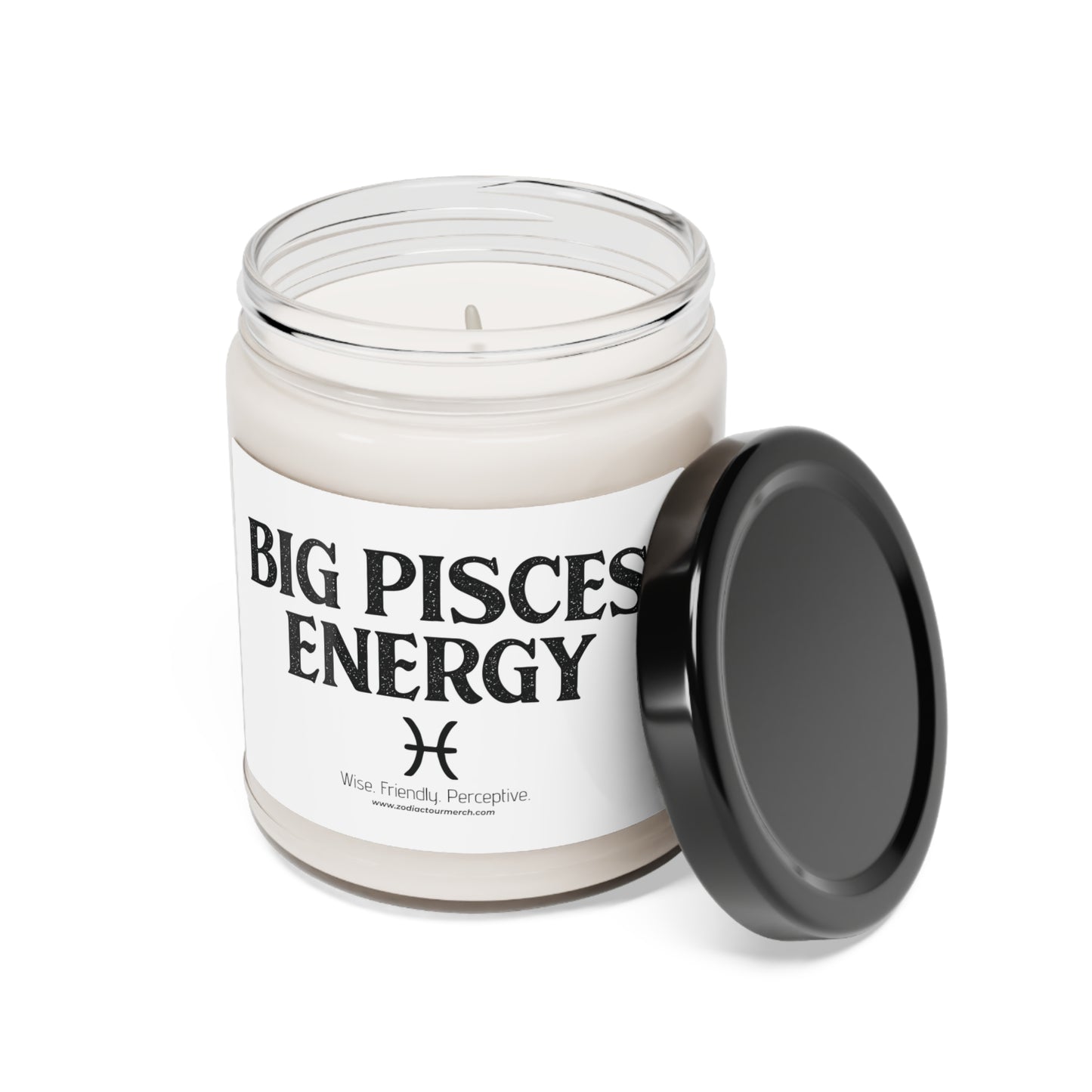 Big Pisces Energy Scented Soy Candle, 9oz