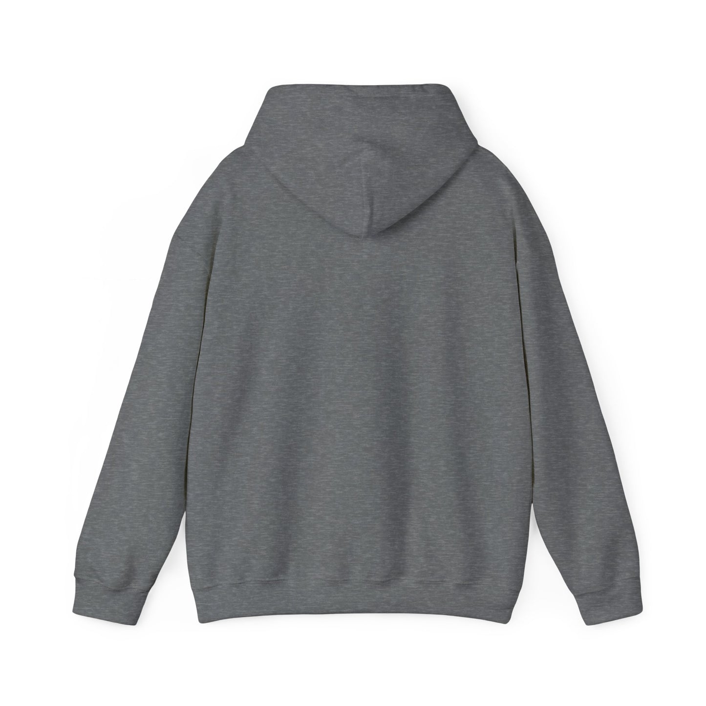 BIG ARIES ENERGY Hoodie