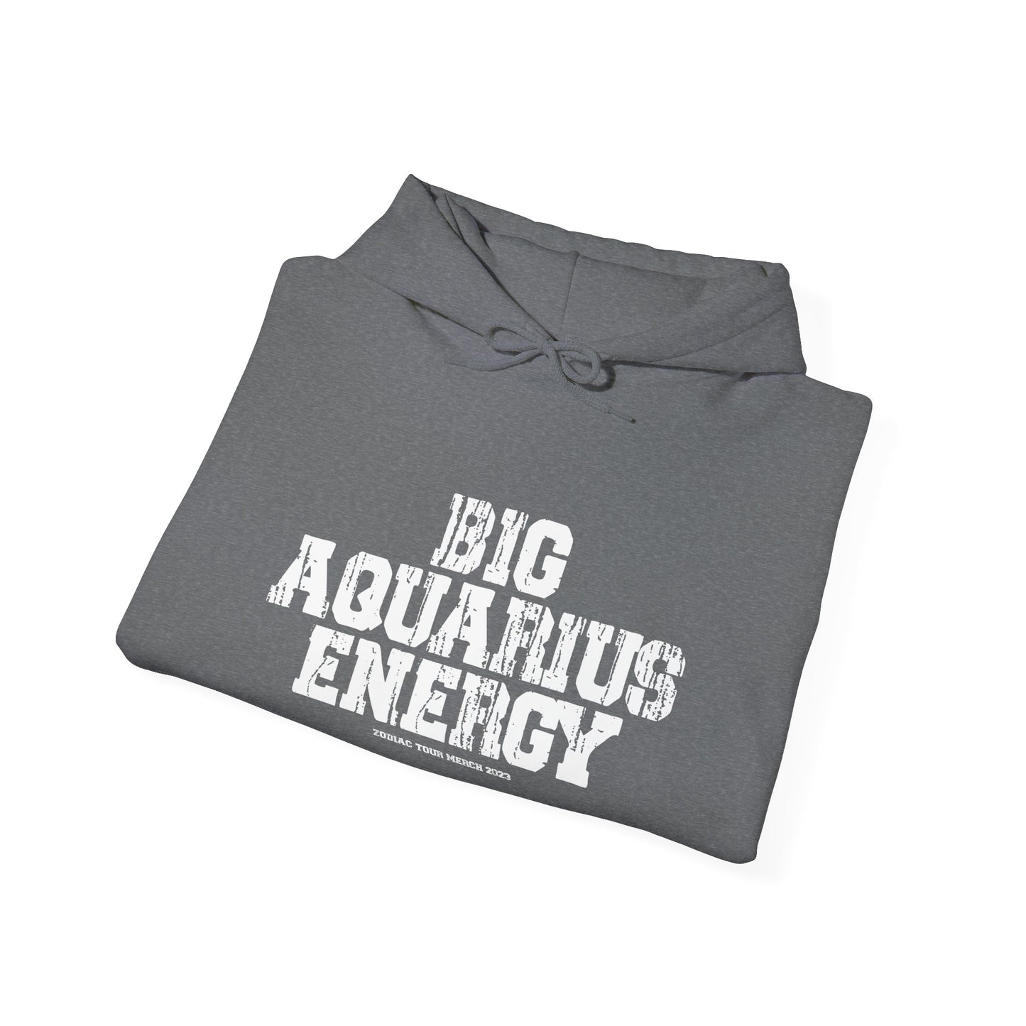 BIG AQUARIUS ENERGY Hoodie
