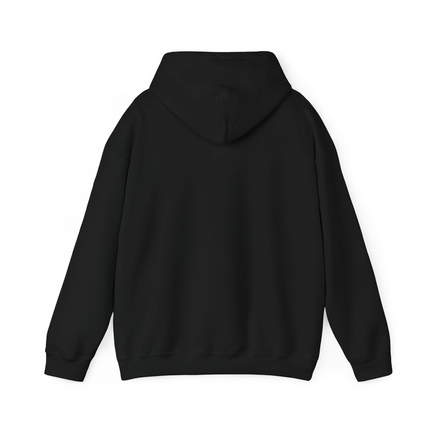 BIG ARIES ENERGY Hoodie