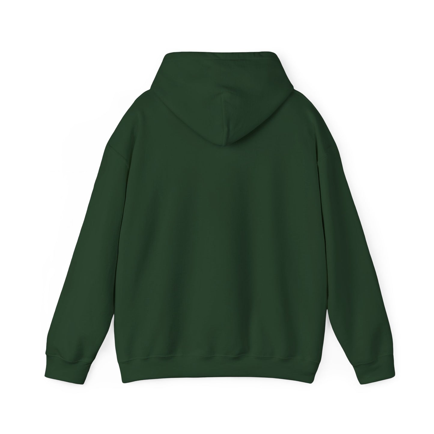 BIG ARIES ENERGY Hoodie