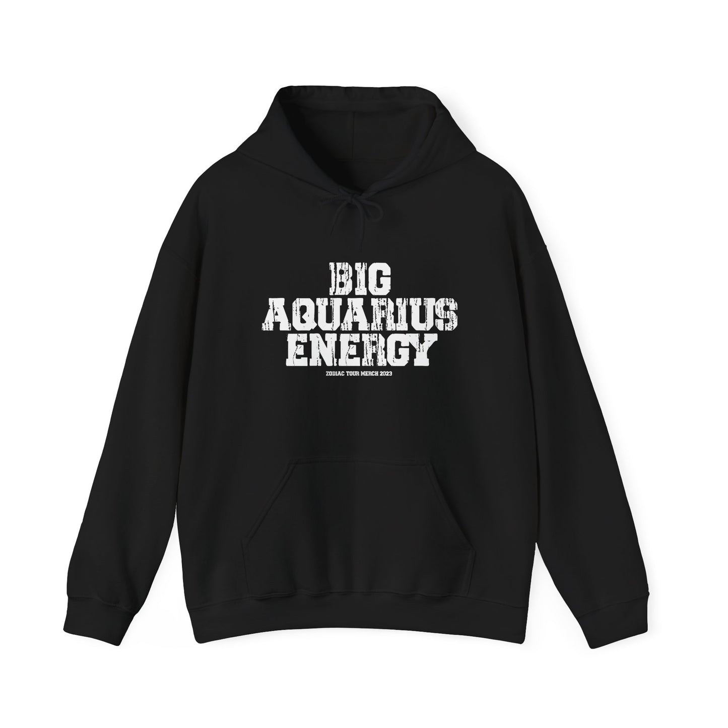 BIG AQUARIUS ENERGY Hoodie