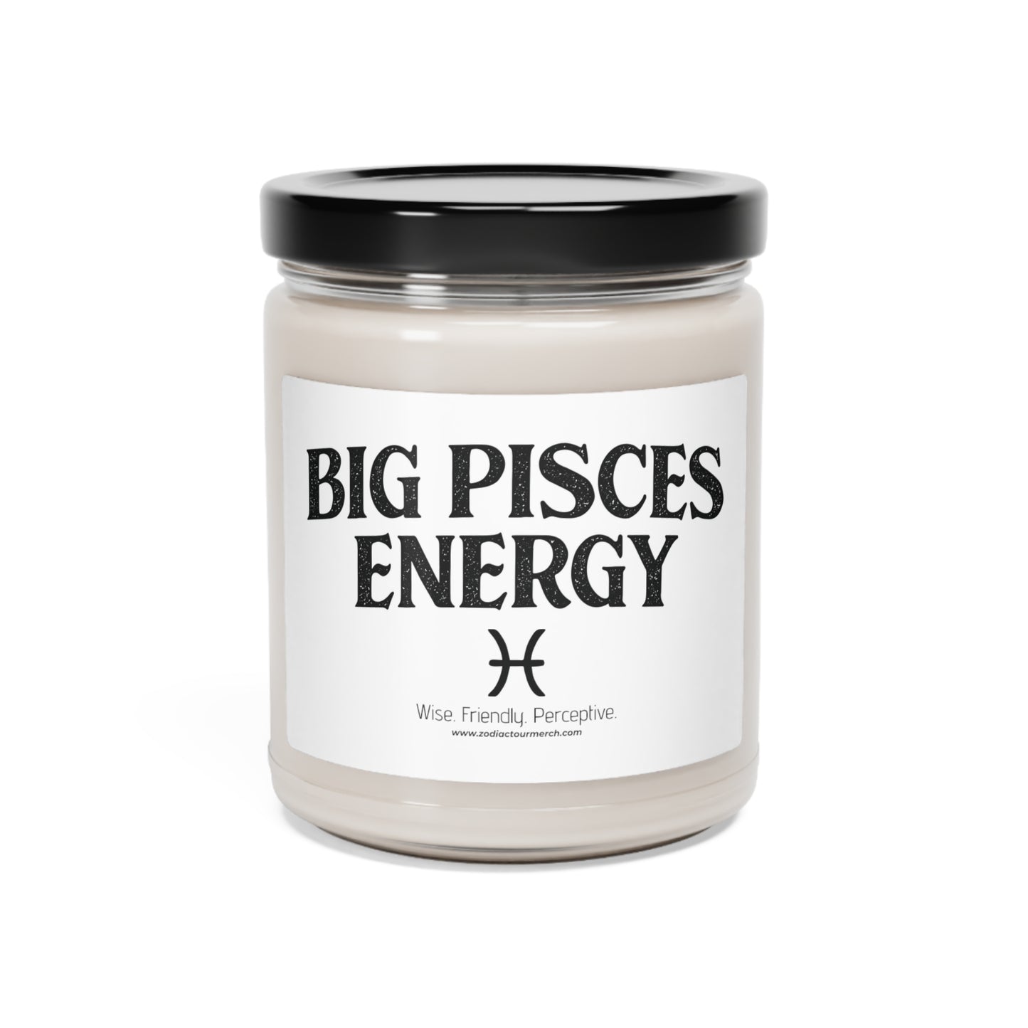 Big Pisces Energy Scented Soy Candle, 9oz