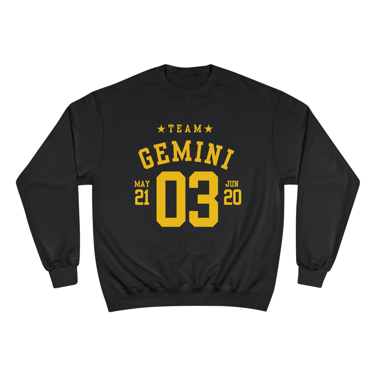 Team Gemini Crew