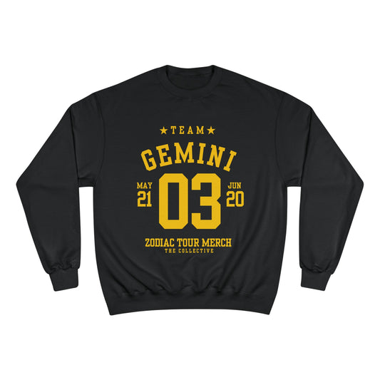 Team Gemini Crew
